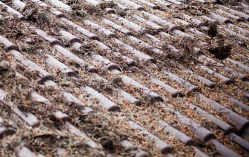 Wareham roof cleaning companies